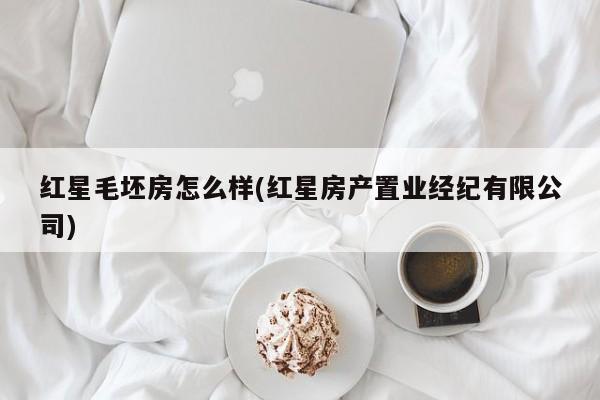 红星毛坯房怎么样(红星房产置业经纪有限公司)