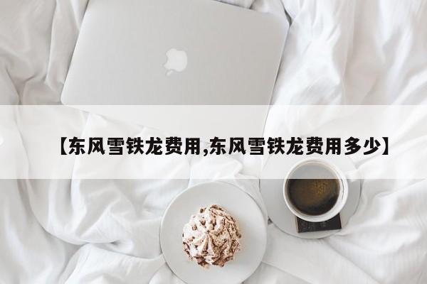 【东风雪铁龙费用,东风雪铁龙费用多少】