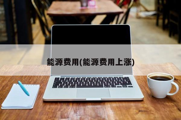 能源费用(能源费用上涨)