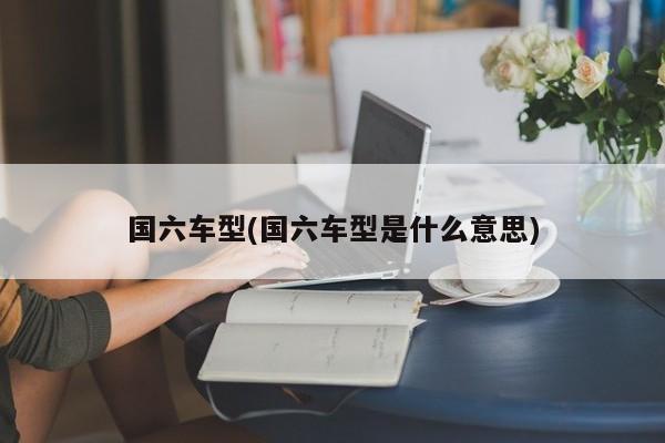 国六车型(国六车型是什么意思)